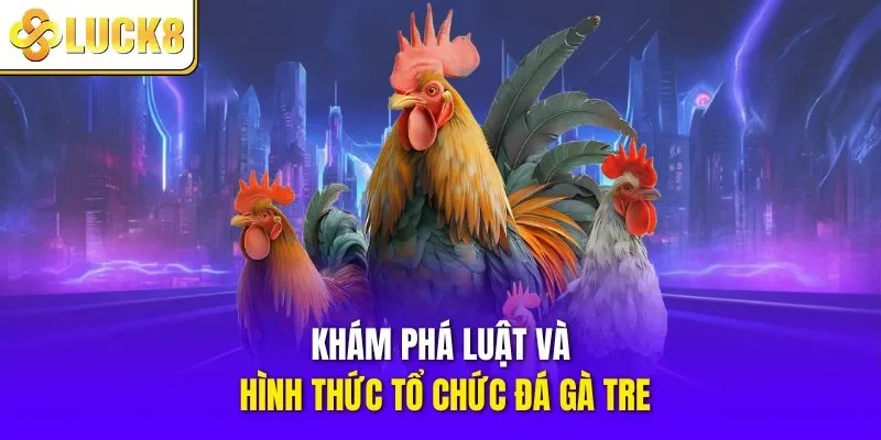 Khám phá luật và hình thức tổ chức đá gà tre