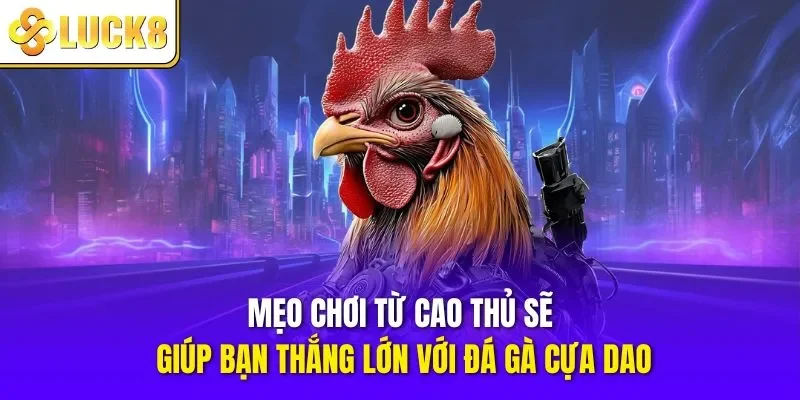 Mẹo chơi từ cao thủ sẽ giúp bạn thắng lớn với đá gà cựa dao