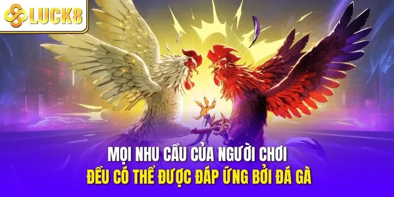 Mọi nhu cầu của người chơi đều có thể được đáp ứng bởi đá gà